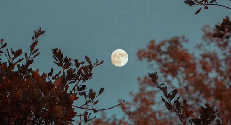 full moon