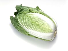 Free Chinese cabbage image