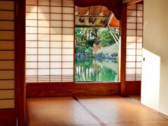 brown wooden door near body of water